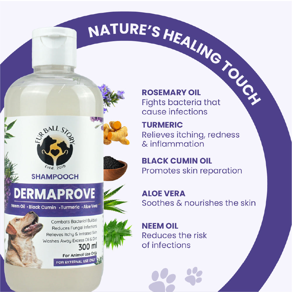 FurBall Story Shampooch Dermaprove Shampoo for Dogs image 4