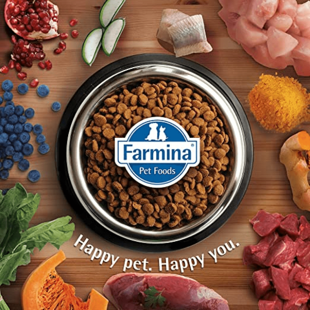 Farmina N&D Quinoa and Lamb Grain Free Weight Management Adult Cat Dry Food image 4