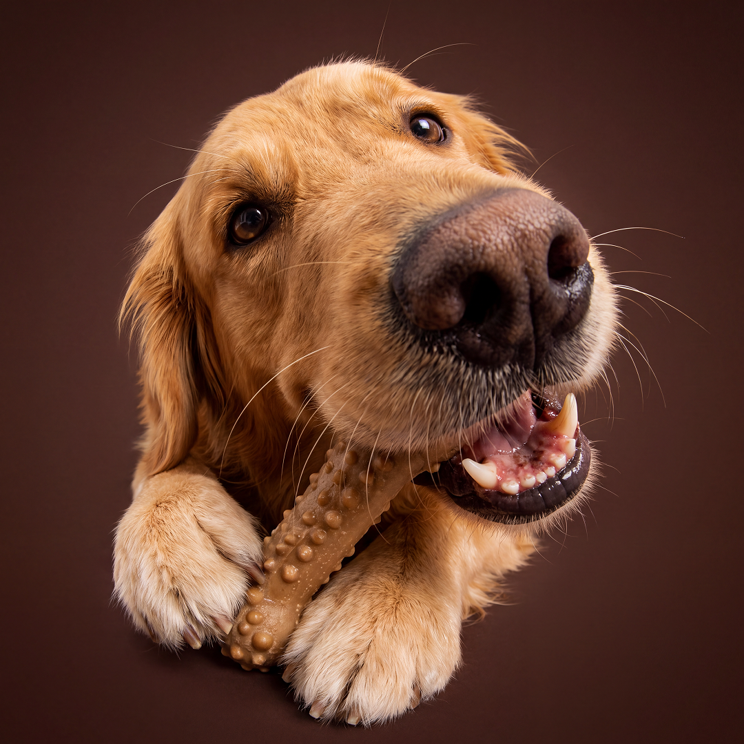 Barkbutler x Fofos Woodplay Brush Bone Toy for Dogs | For Chewers (Brown) image 2
