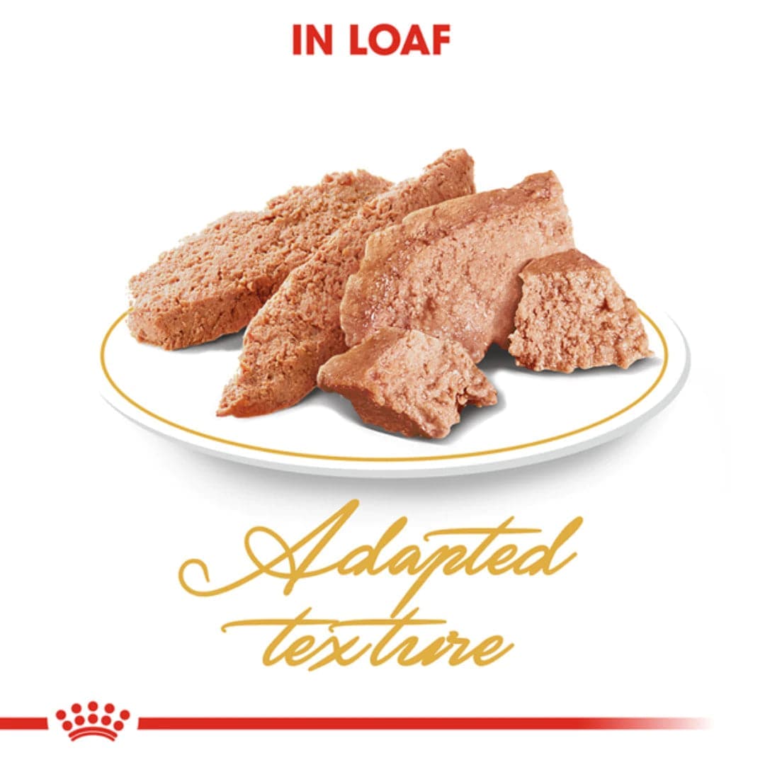 Royal Canin Persian Adult Loaf Cat Wet Food image 4