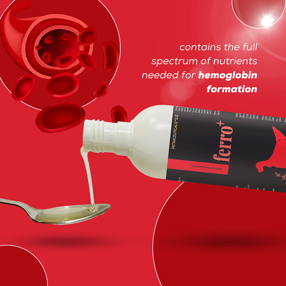 Venttura Ferro Plus Iron Supplements Syrup for Dogs image 3
