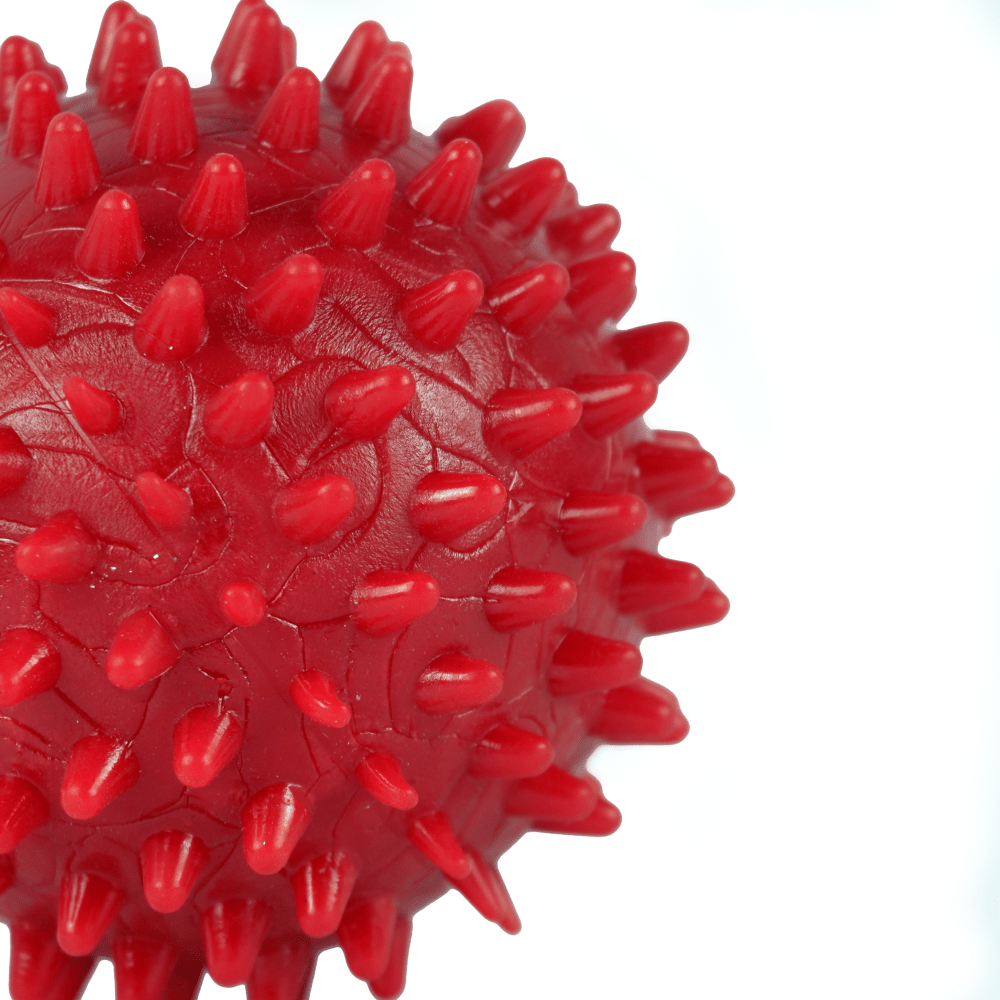 Drools Non Toxic Rubber Stud Spike Hard Ball Chew Teething Toy for Puppies and Dogs | For Aggressive Chewers image 4