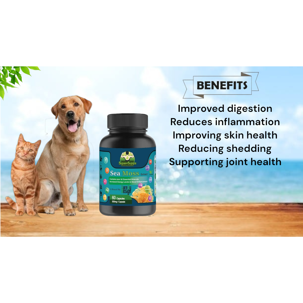 Cure By Design Sea moss Capsules for Dogs and Cats image 3