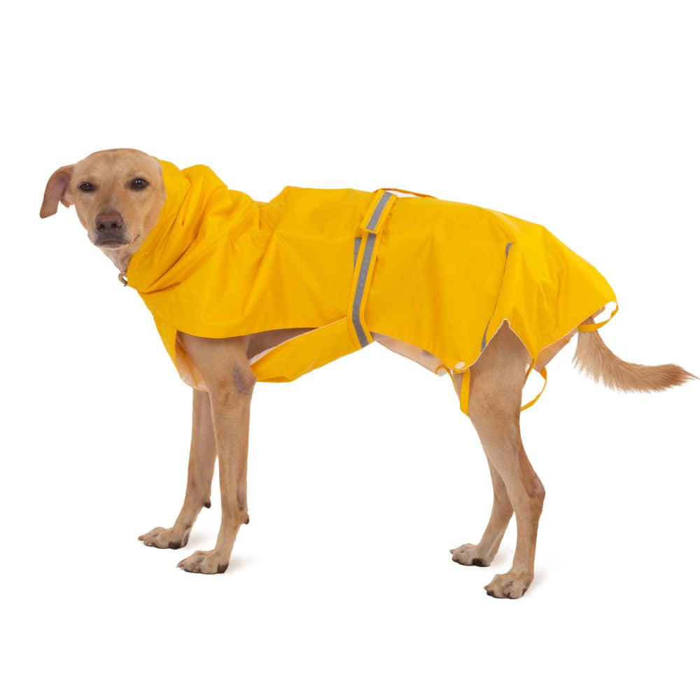 PetWale Reflective Raincoat for Dogs (Yellow) image 7