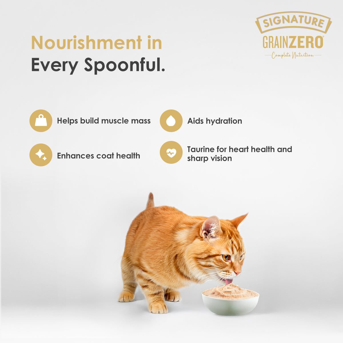 Signature Grain Zero Salmon Mousse Adult Cat Wet Food image 3
