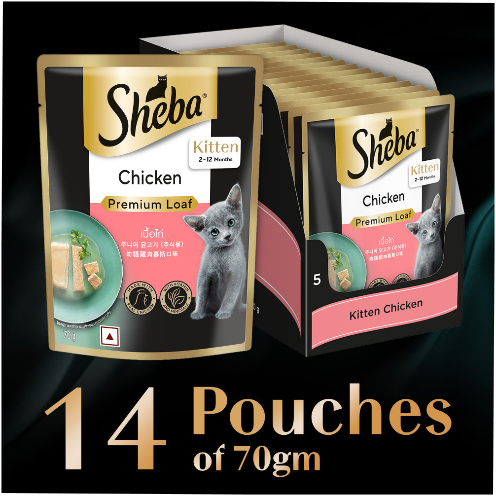 Sheba Chicken Loaf Rich Premium Kitten (2 to 12 Months) Fine Cat Wet Food image 10