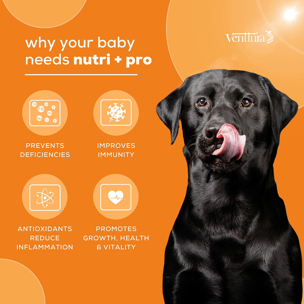 Venttura Nutri Plus Pro Multi Vitamin Chewable Tablets for Dogs image 5
