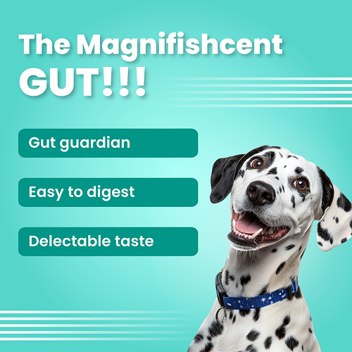 Bark Out Loud by Vivaldis Mini Fishes Grain Free & Hypoallergenic Dog Treats image 3