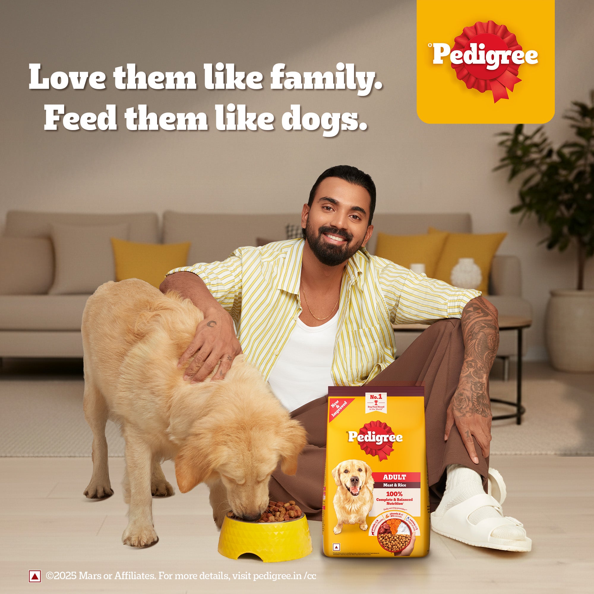 Pedigree Meat & Rice Adult Dog Dry Food image 5