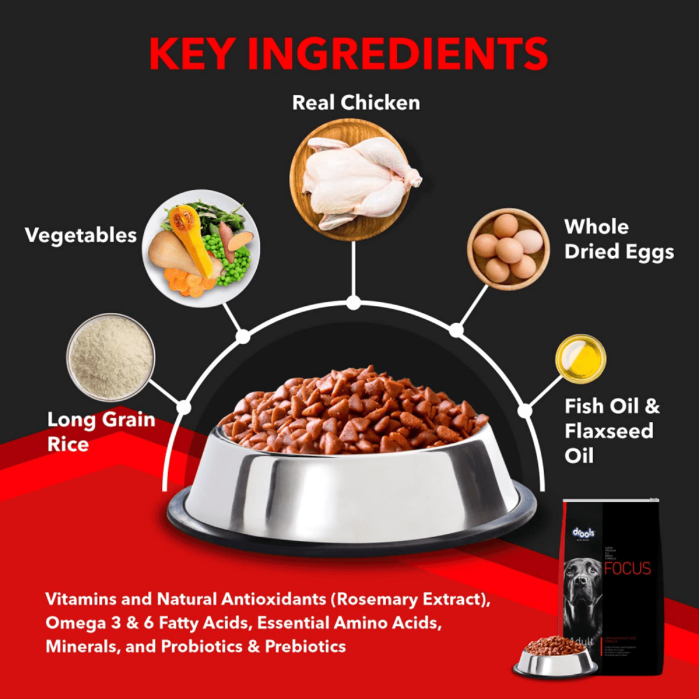 Drools Focus Super Premium Dry Food and Chicken & Liver Chunks in Gravy Adult Dog Wet Food Combo image 6