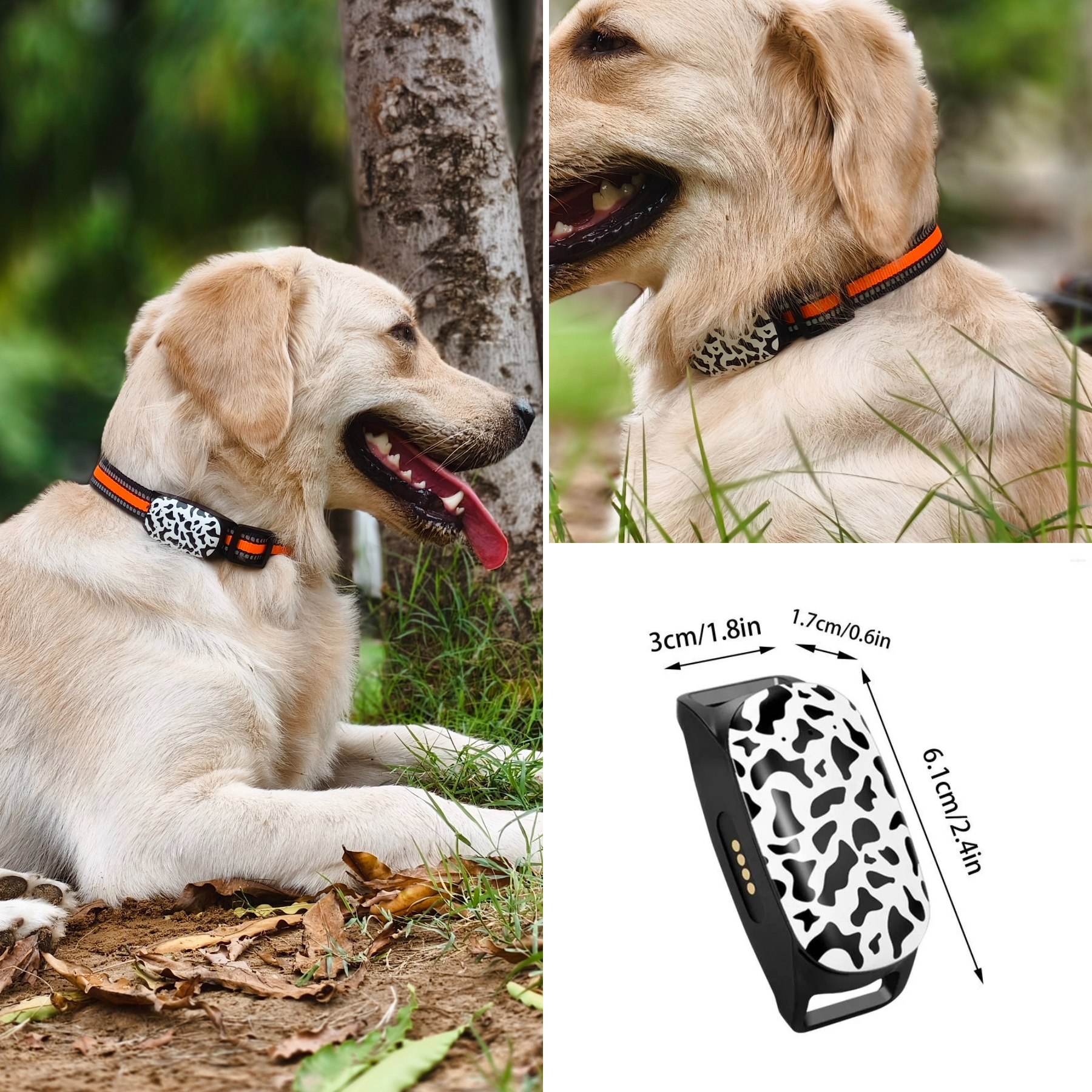 FeTaca G61 Smart 4G GPS Waterproof Collar Tracker with 12months Free Tracking & App Subscription for Dogs and Cats (White) image 6