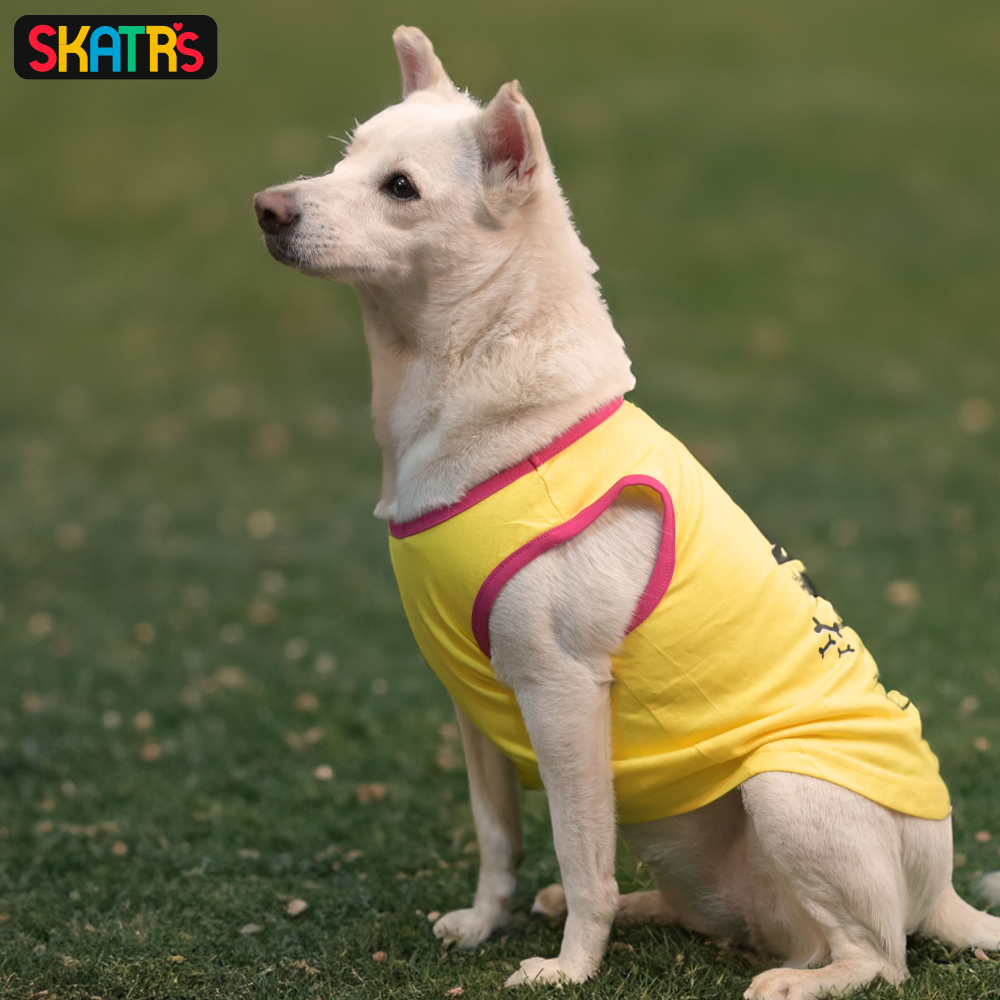 Skatrs No Tricks Only Treats Printed Summer Cotton T Shirt Dogs and Cats (Yellow) image 4
