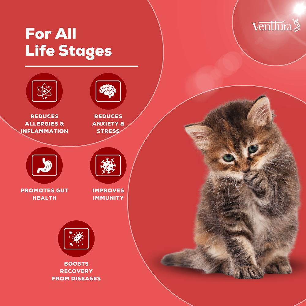 Venttura Immunity Booster & Calming Supplement for Cats image 3
