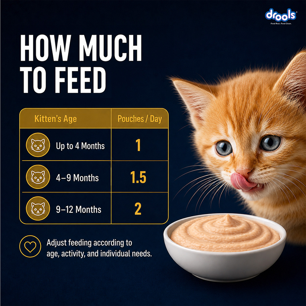 Drools Chicken Mousse Kitten Cat Wet Food image 8