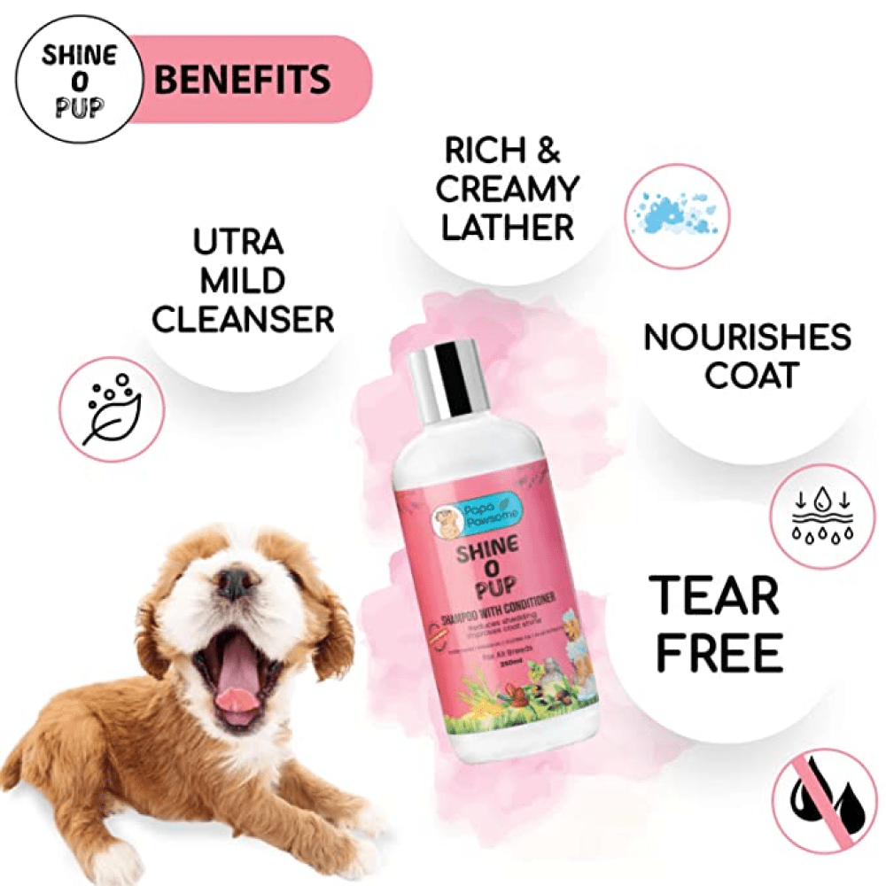 Papa Pawsome Shine O' Pup Tear Free Shampoo with Conditioner for Dogs image 3