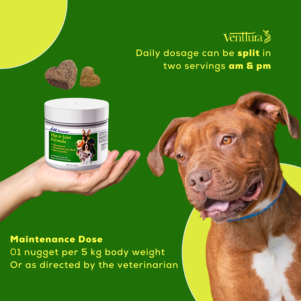 Venttura Inhancer Hip & Joint Soft Nuggets Supplements for Dogs image 4