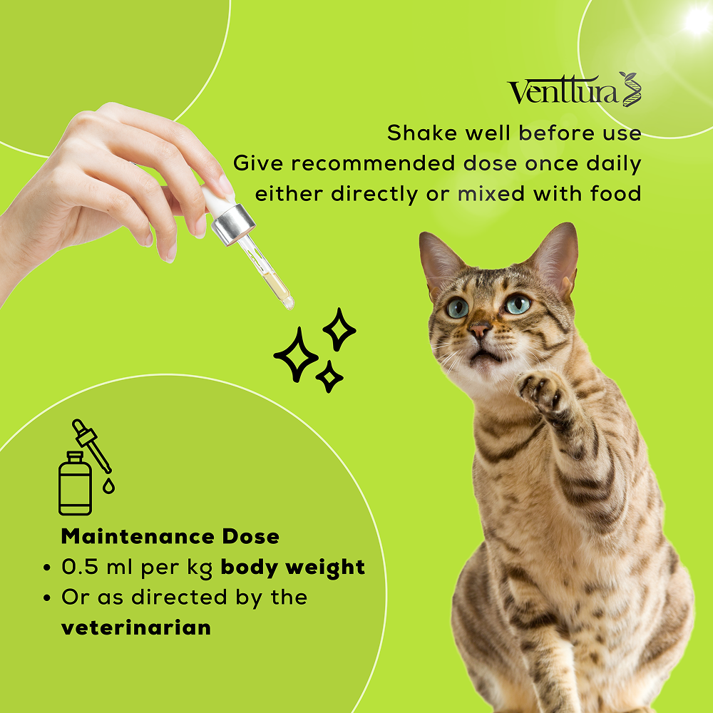 Venttura Healthy Skin & Glowing Coat Omega Fatty Acid Supplement for Cats image 6