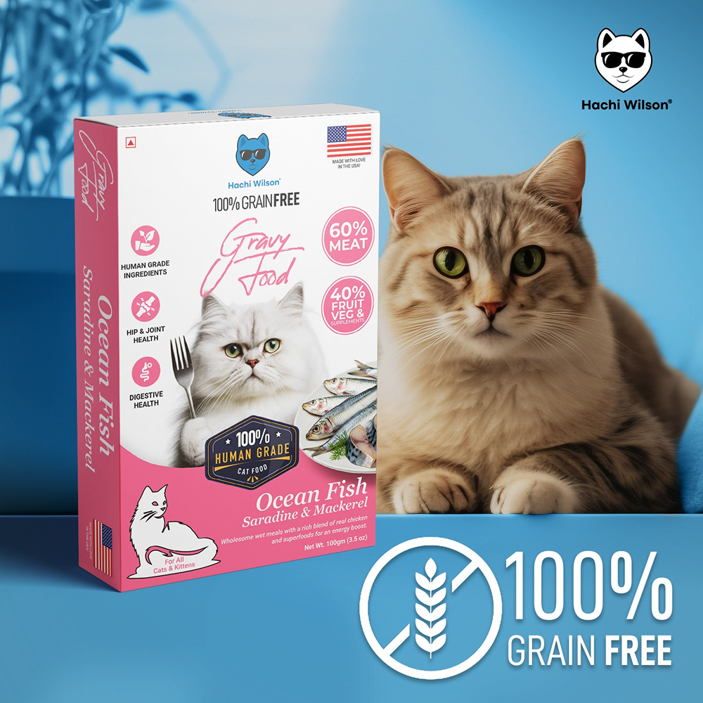 Hachi Wilson Premium Ocean Fish Sardine and Mackerel Gravy Cat Wet Food image 5