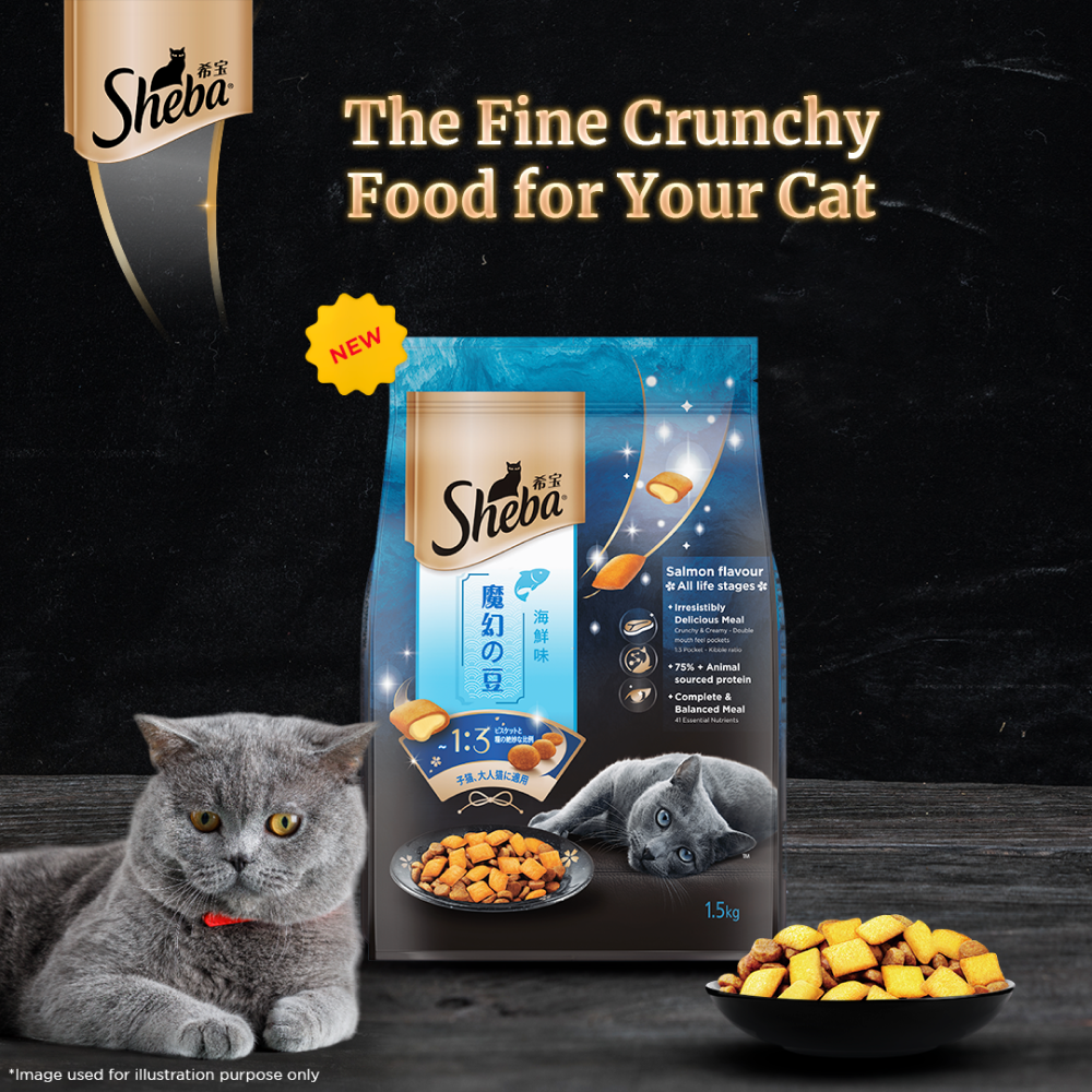 Sheba Salmon Flavour Irresistible All Life Stages Cat Dry Food image 8