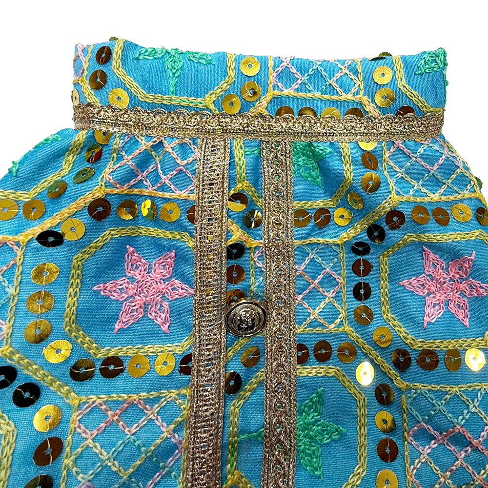 Pawsindia Traditional Nawabi Embroidered Kurta for Cats (Sky Blue) image 5