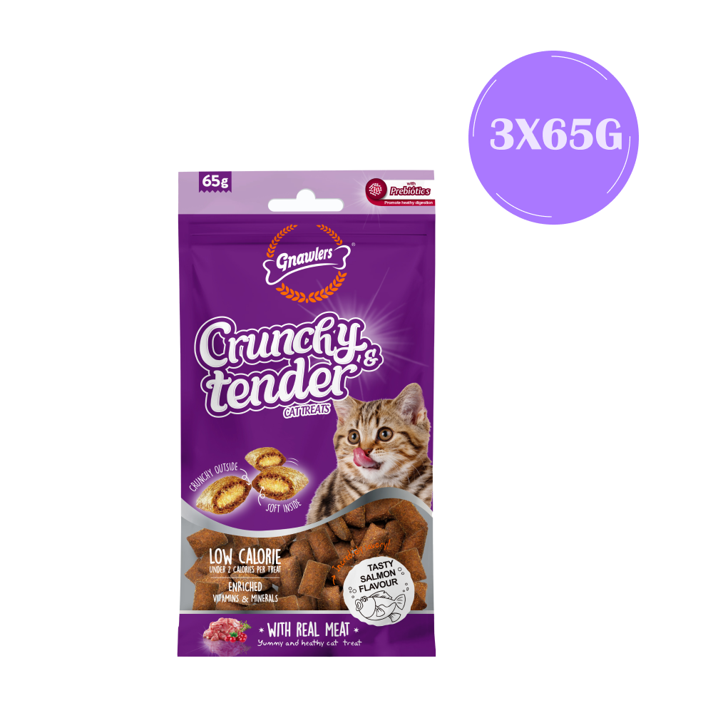 Gnawlers Salmon Crunchy Tender Cat Treats image 3