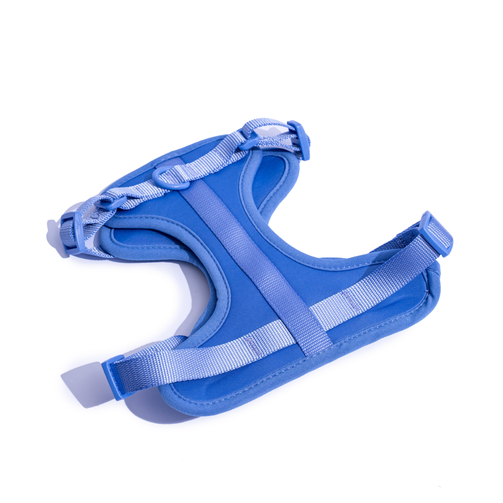 Furry & Co Bold Harness for Dogs (Everest Blue) image 4