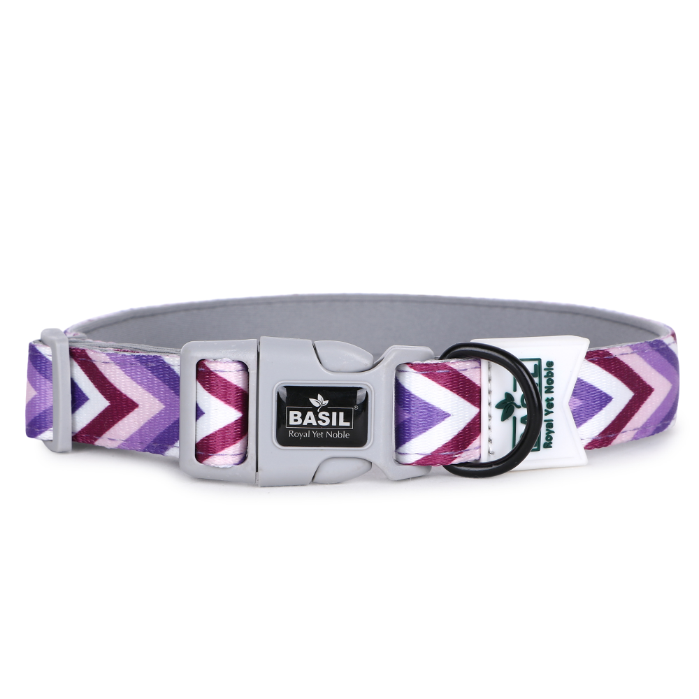 Basil Printed Collar for Dogs (Purple) image 3