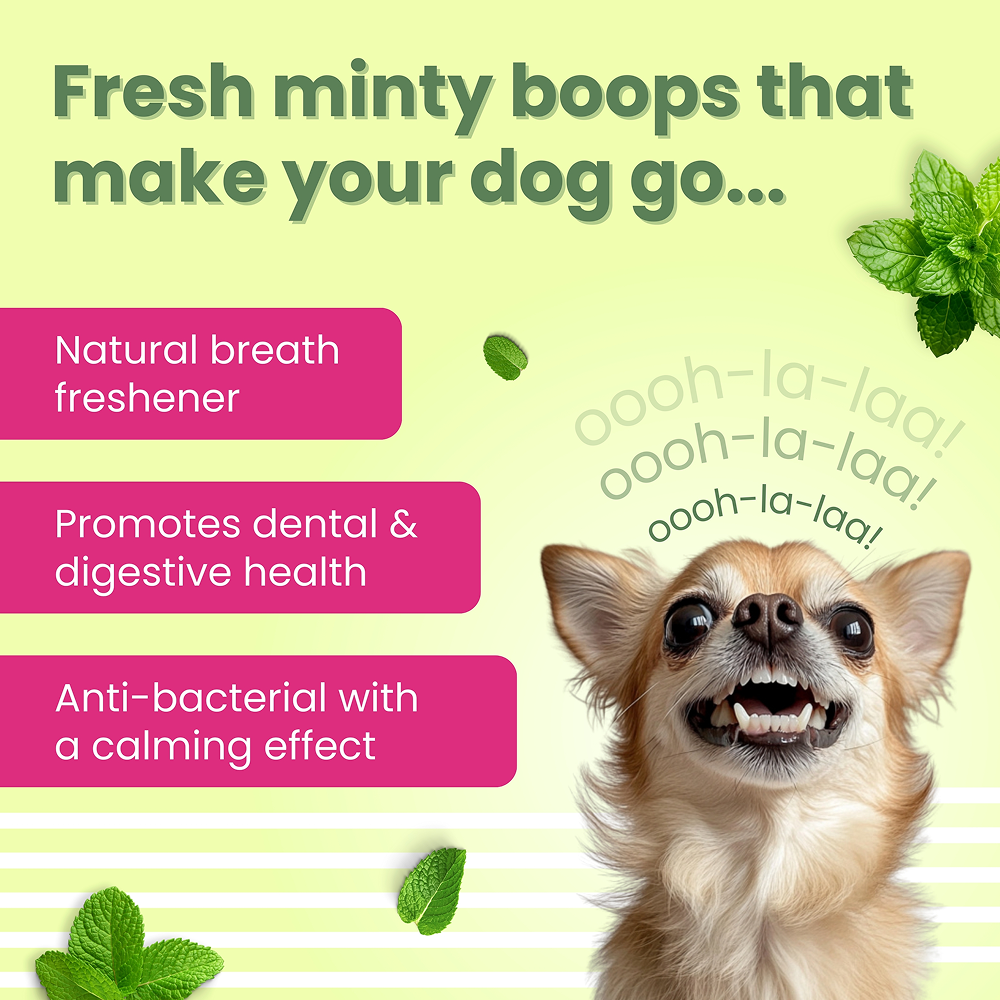 Bark Out Loud by Vivaldis Grain Free Chicken Dental Chews Dog Treats image 6