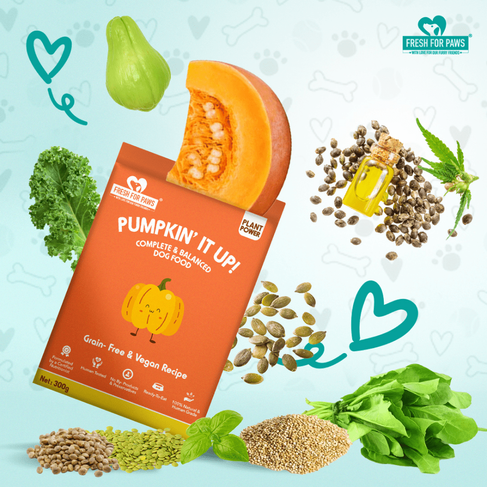 Fresh For Paws Pumpkin It Up Dog Wet Food (100g) image 3