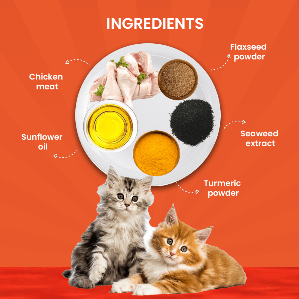 Goofy Tails Chicken and Flaxseed Cat Wet Food image 5