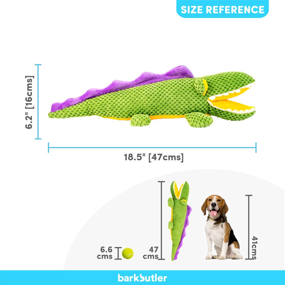 Barkbutler Aly The Gator Plush Toy for Dogs | For Medium Chewers (Green) image 5