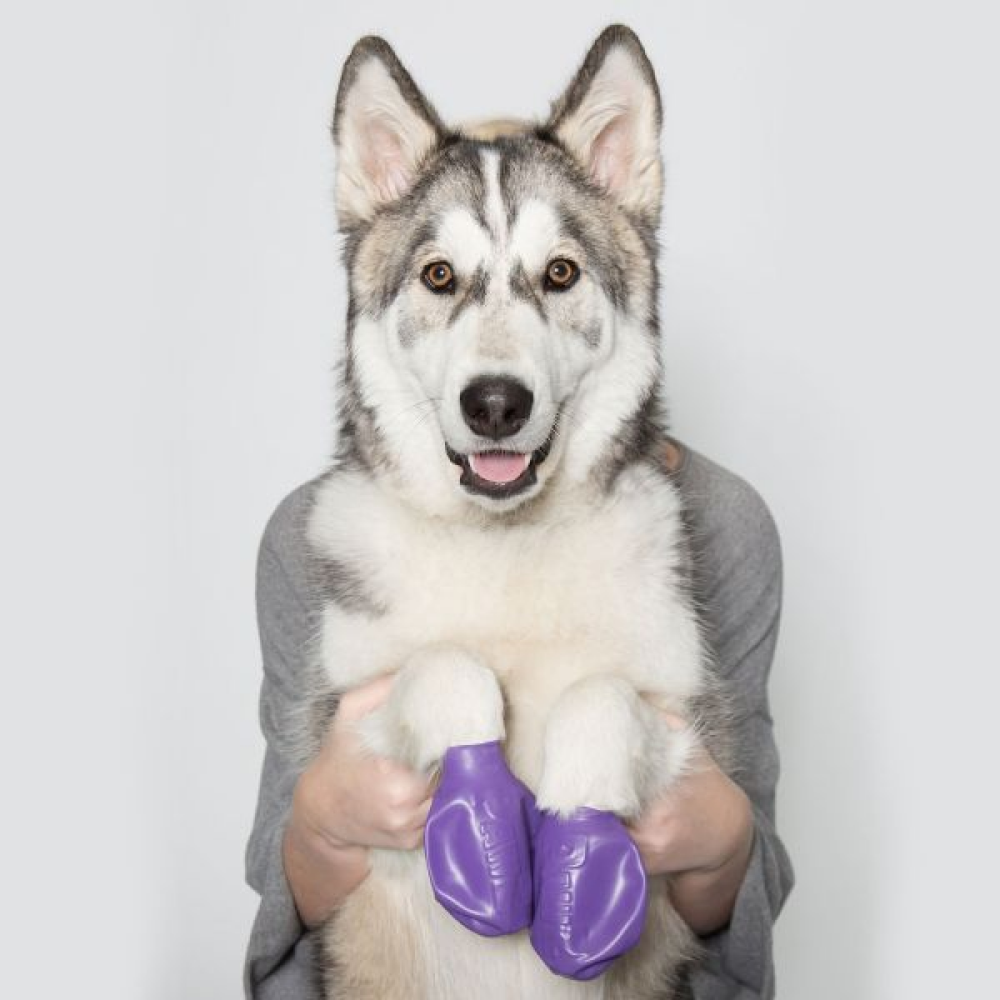 Protex PawZ Disposable and Reusable Boots for Dogs (Purple) image 5
