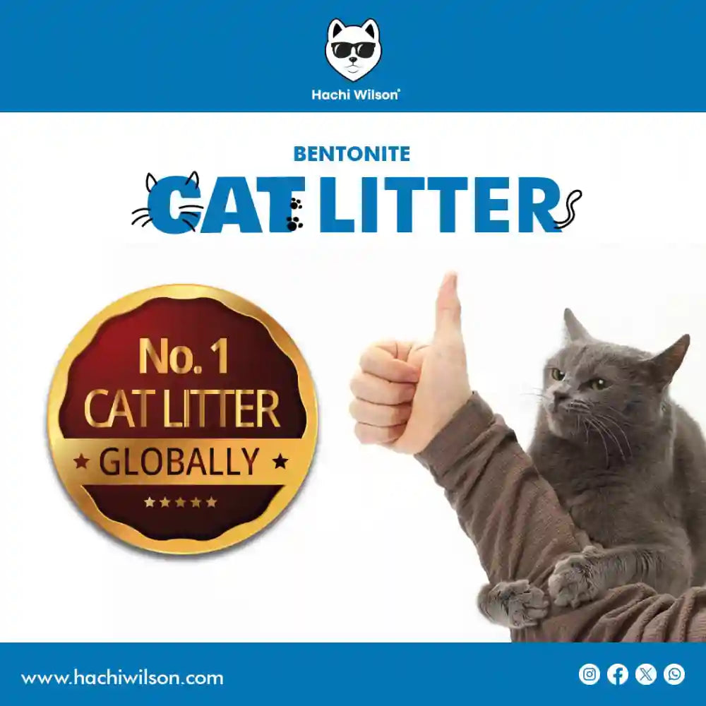 Hachi Wilson Scented Natural Bentonite White Sand Cat Litter image 9