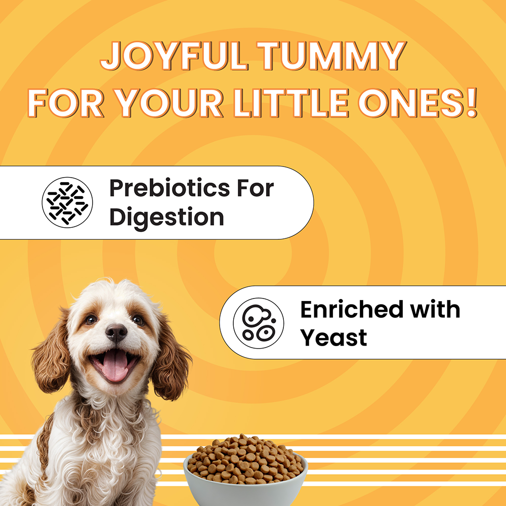 Bark Out Loud Essentials Real Chicken Mini and Small Breed Adult Dog Dry Food image 6