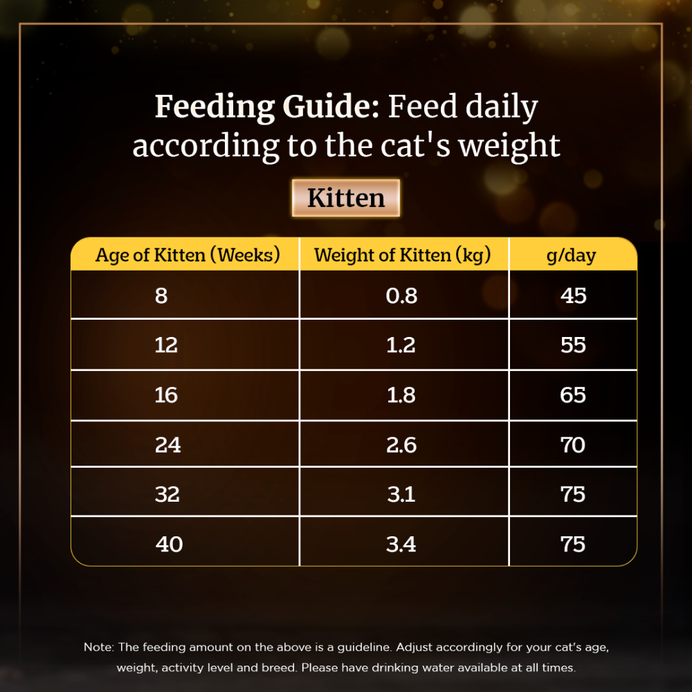 Sheba Skipjack & Salmon Fish Mix Cat Wet Food and Chicken Flavour Irresistible All Life Stage Cat Dry Food Combo image 8