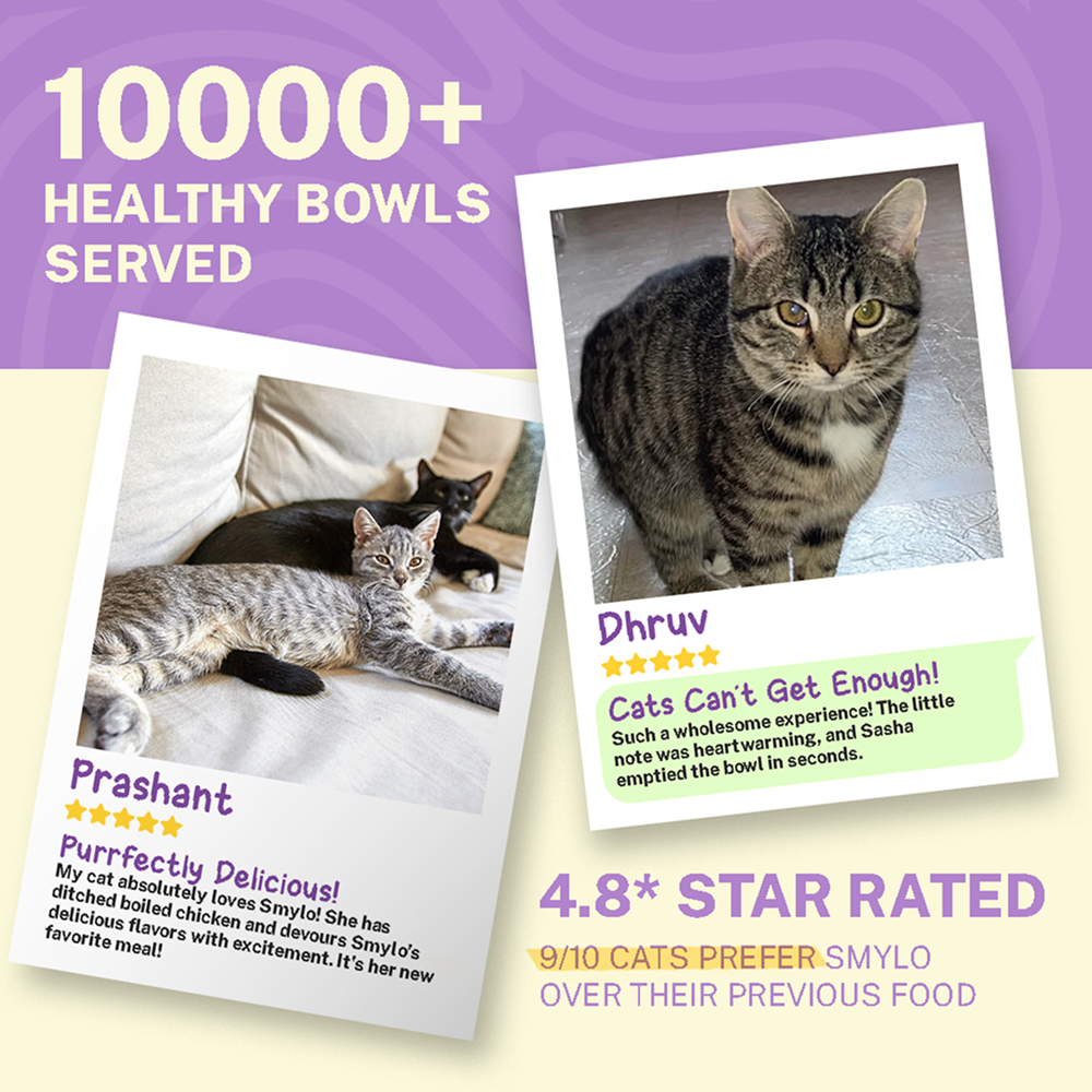Smylo Kitten Chicken & Liver, Pomegranate, Fresh & No-Preservative Wet Cat Food image 7