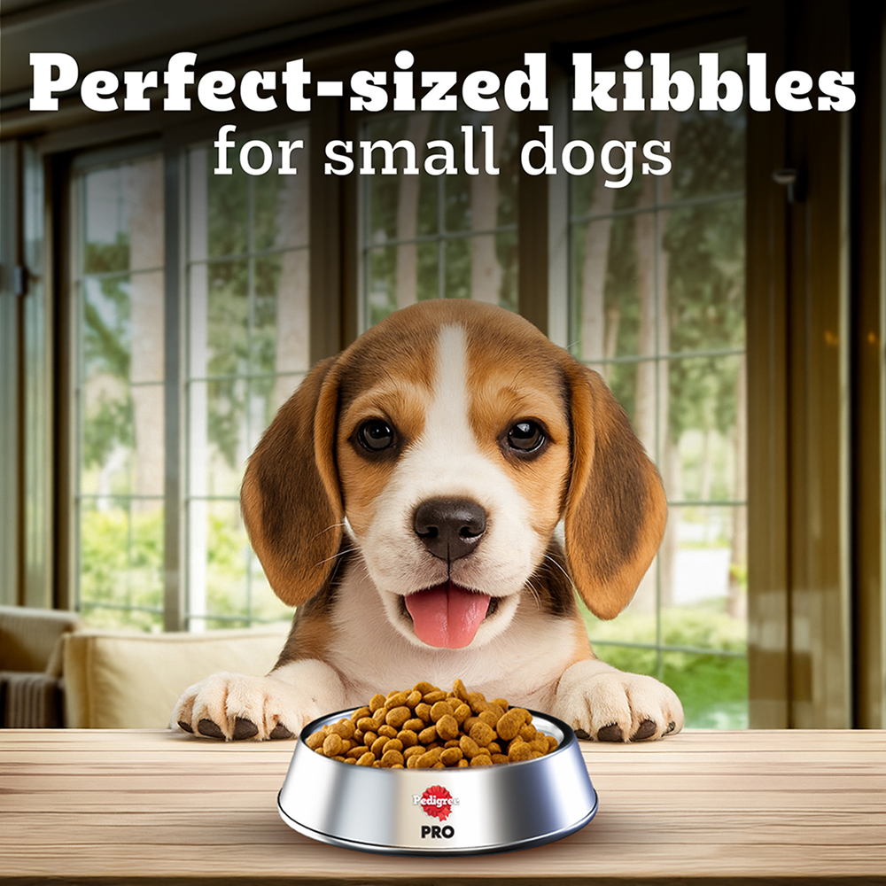 Pedigree PRO Expert Nutrition Lactating/Pregnant Mother & Puppy Starter (3 to 12 Weeks) Small Breed Dog Dry Food image 7
