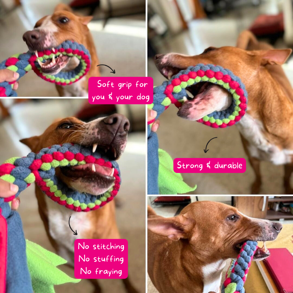 For The Love Of Dog Tug O Loop Chew Toy for Dogs (Blue/Green) image 2