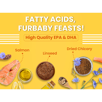Bark Out Loud Salmon and Chicken Kitten Dry Food image 4