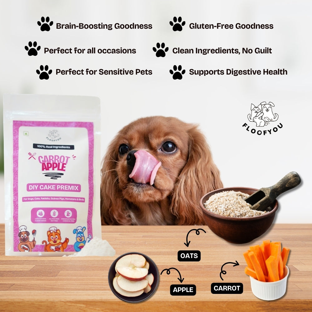 Floofyou Home Made Carrot Apple Birthday Cake Mix for Dogs and Cats image 5