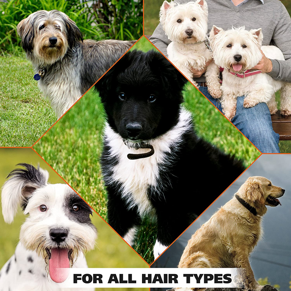 Wahl Deodorant for Dogs (Doggie Eucalyptus and Spearmint) image 6