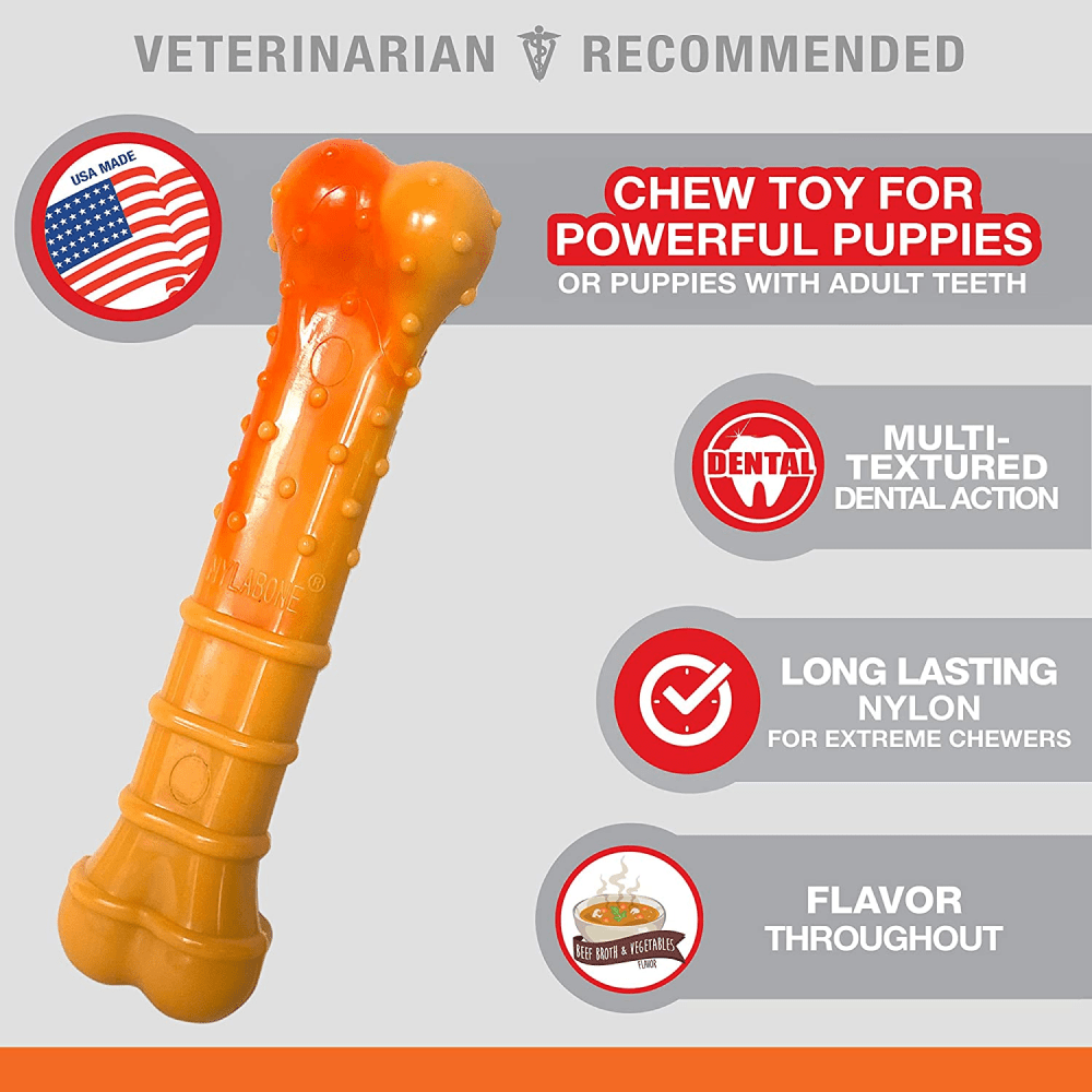 Nylabone Puppy Power Chew Toy for Dogs (Orange) image 3