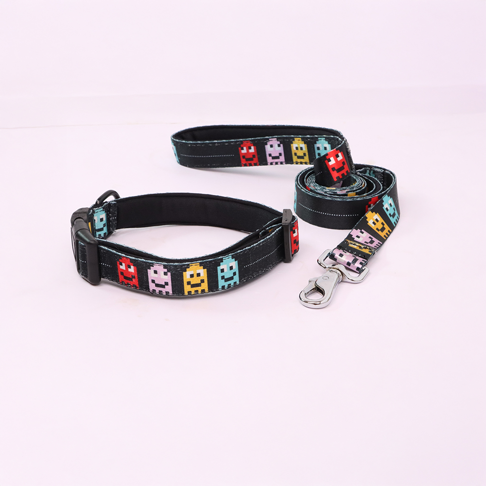 Skatrs Arcade Mood Leash for Dogs image 4