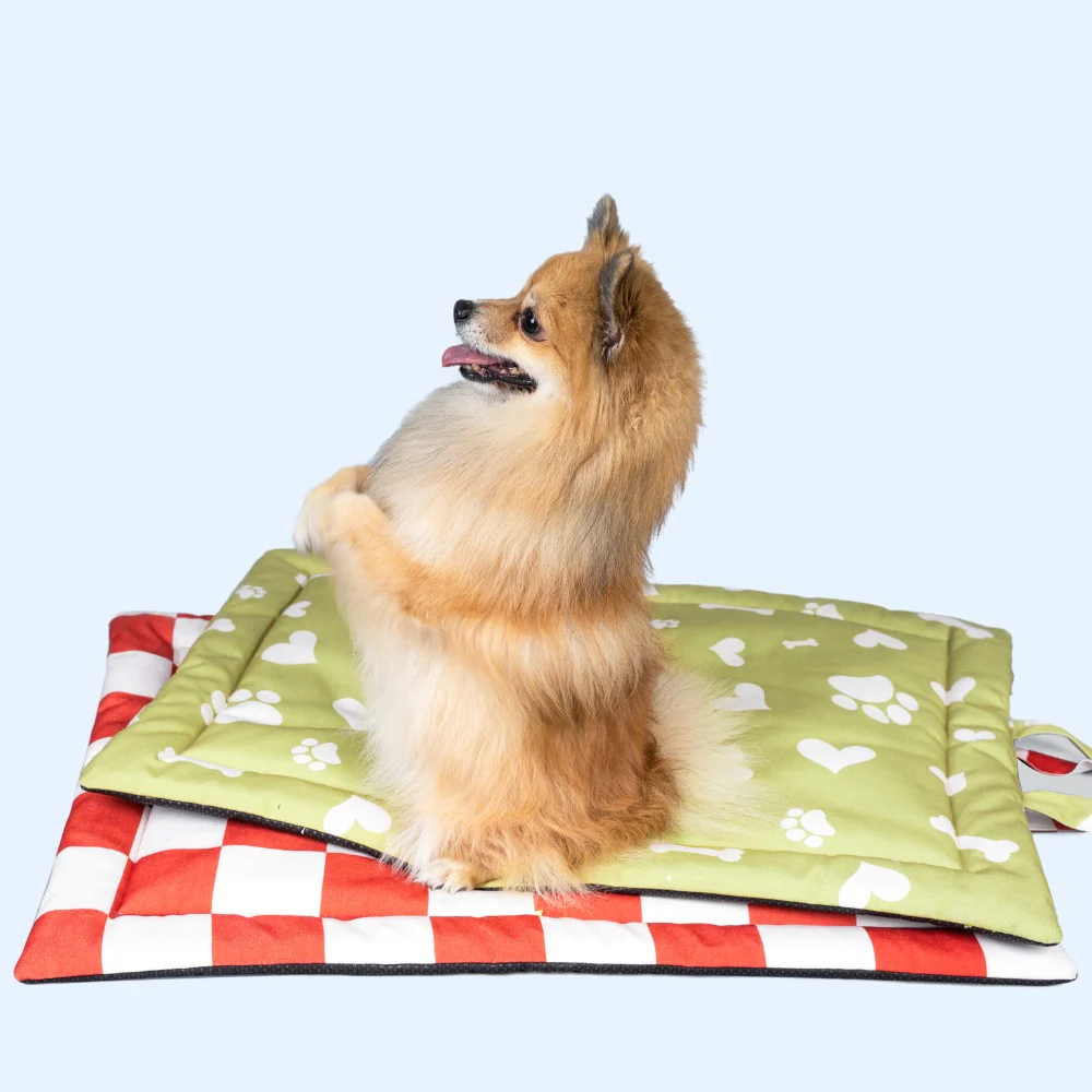 Pet Set Go Paw and Bones Heaven Mat for Dogs and Cats (Green) image 5