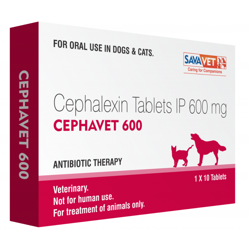 Savavet Cephavet 600mg (Cephalexin) Tablet for Dogs & Cats image 2
