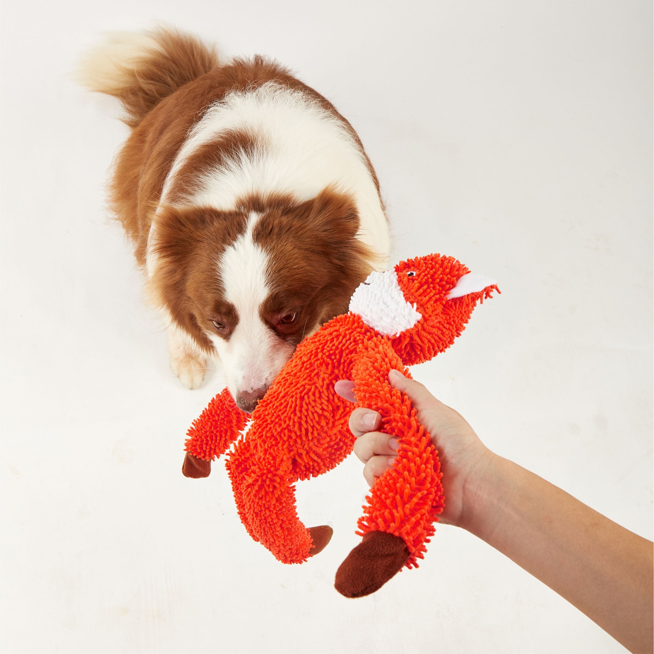 Fofos Fox Long Body Tough Plush Toy for Dogs image 7