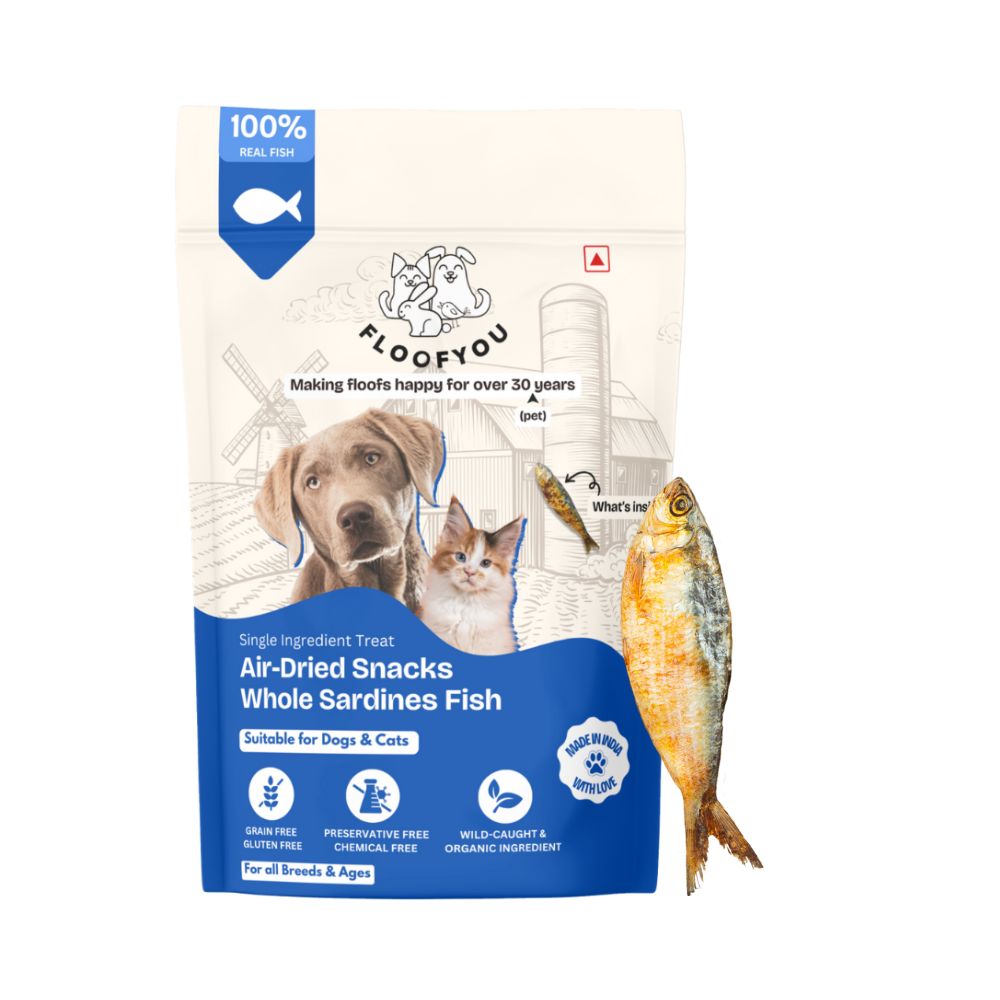 FloofYou Air Dried Whole Sardines Fish Dog & Cat Treats image 1