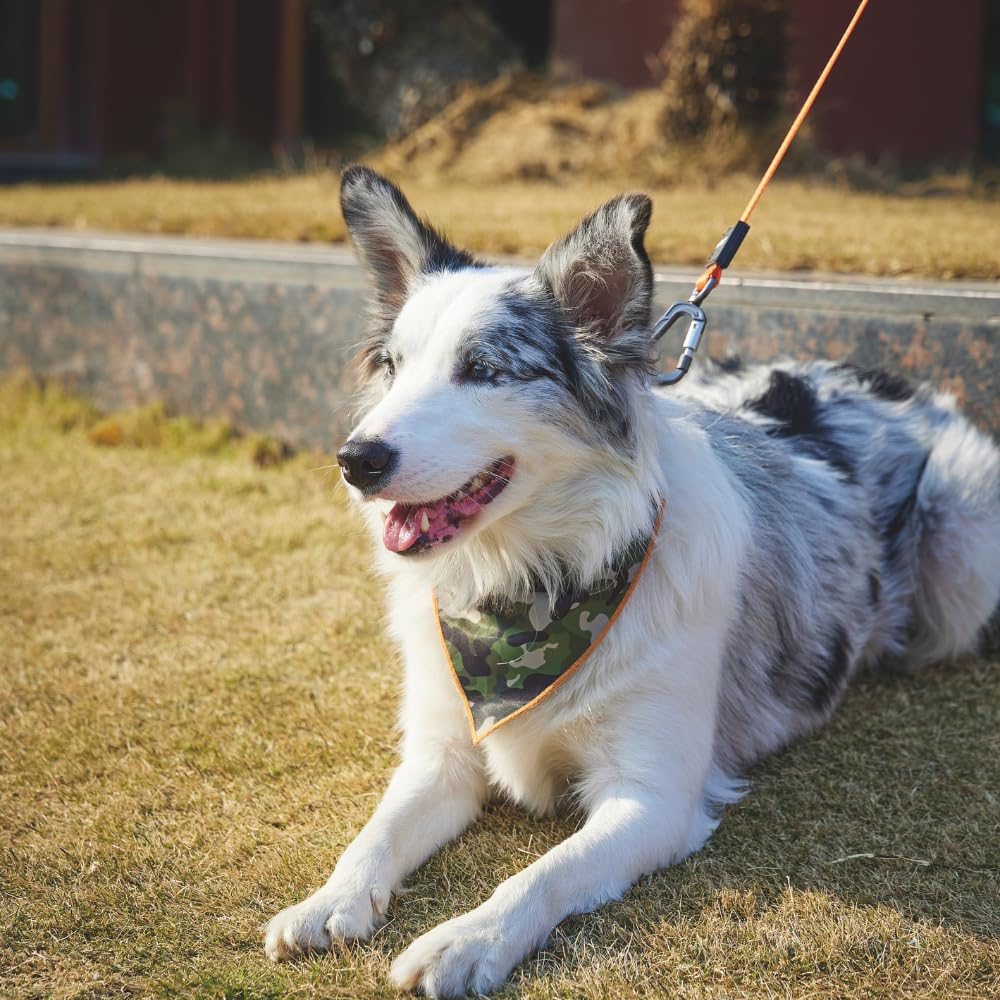 M Pets Wild Jungle Control Leash for Dogs image 5