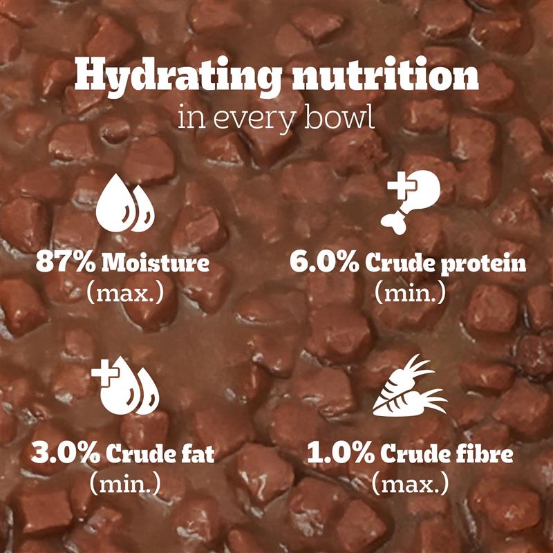Pedigree Lamb Flavour Chunks in Gravy Puppy Wet Food image 4