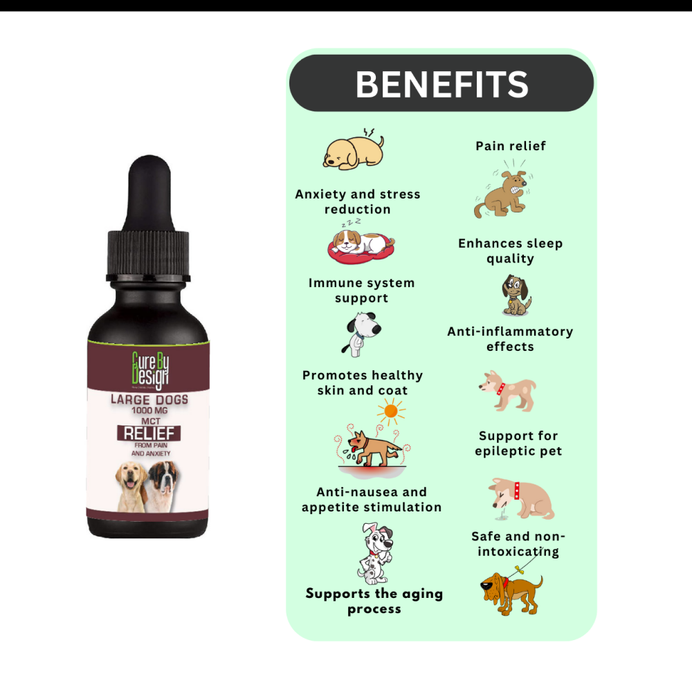 Cure By Design 1000mg CBD MCT Relief Oil for Large Dogs image 2